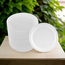 ১০ ইঞ্চি ওয়ান টাইম প্লেট  50 পিস