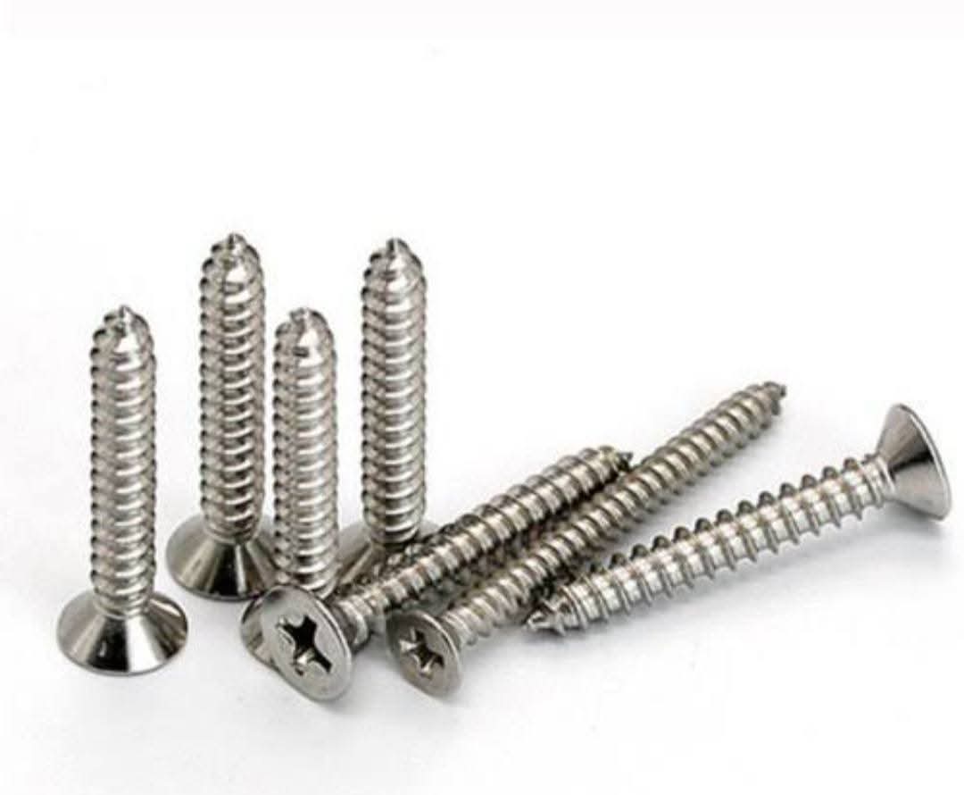 এক ইঞ্চি  SS   Screws ১০ পিস