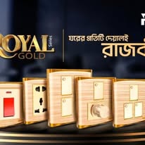 সুপার স্টার রুটস রয়াল গোল্ড 6 পিন সকেট
