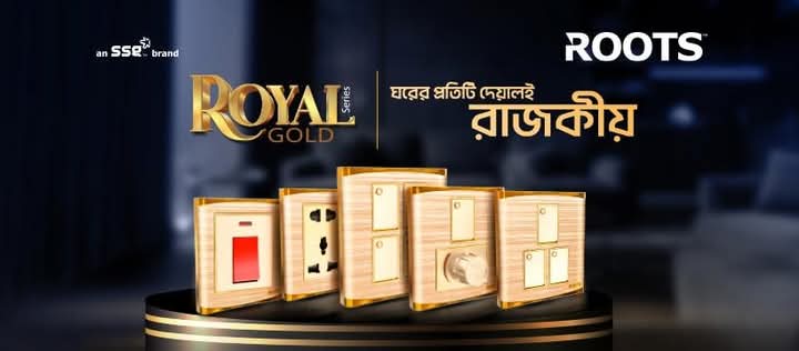 সুপার স্টার রয়েল গোল্ড 2 পিন সকেট